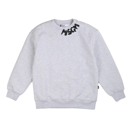 Felpa ragazzo/a in cotone, grigia, MSGM. - IrisBlu
