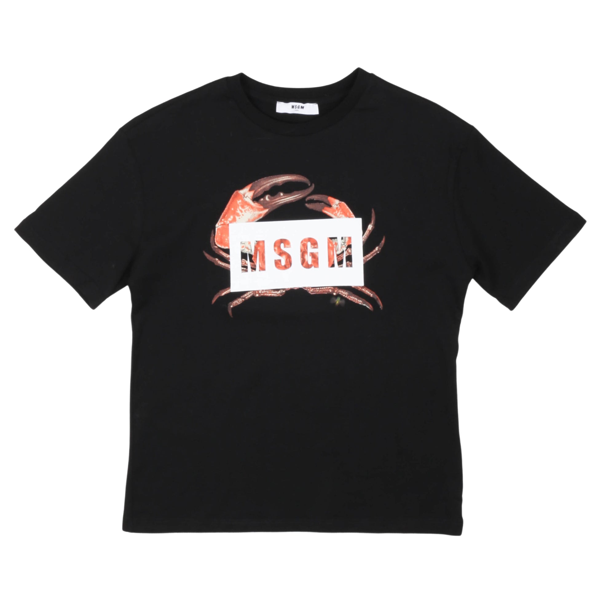 T-shirt bambino manica corta MSGM - IrisBlu