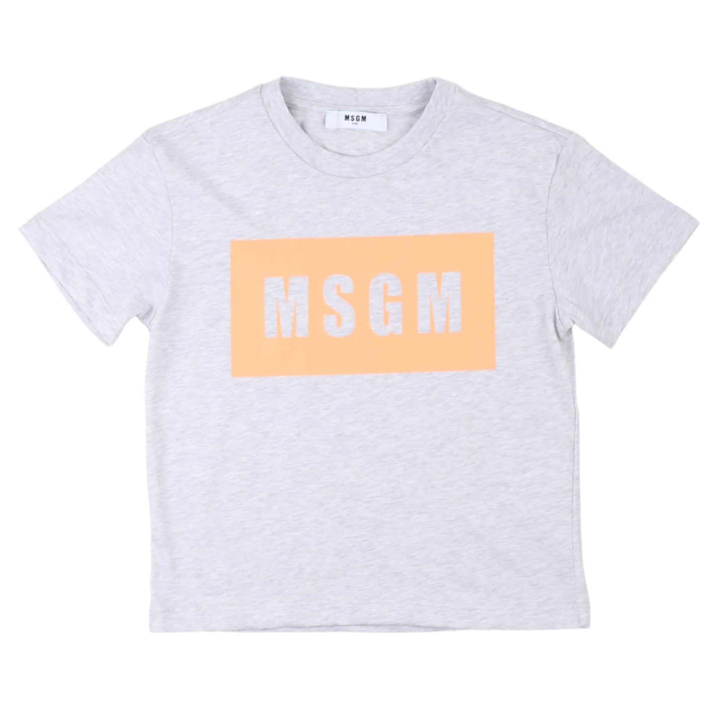 T-shirt MSGM grigia unisex
