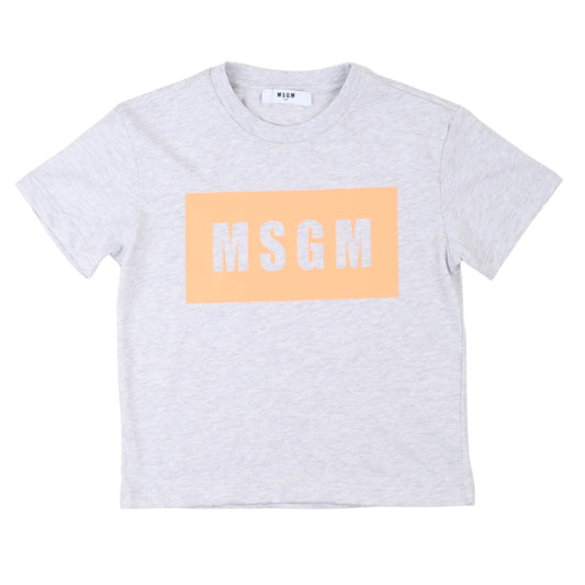 T-shirt MSGM grigia unisex